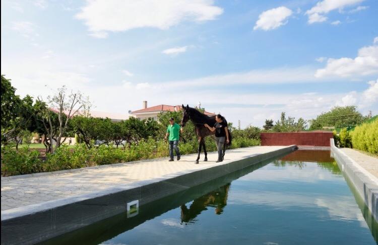 B. Equine Range Hotel Narlidere المظهر الخارجي الصورة
